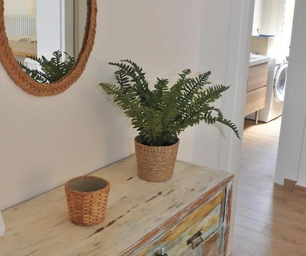 Verdi Due Модена